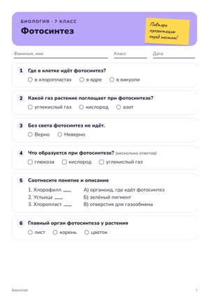 Квиз в стиле «Пара к презентации»