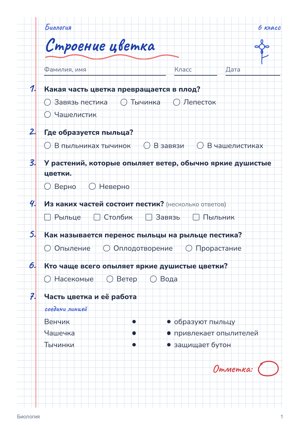 Квиз в стиле «Тетрадь»