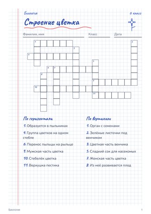 Кроссворд в стиле «Тетрадь»