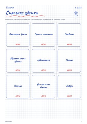 МЕМО в стиле «Тетрадь»